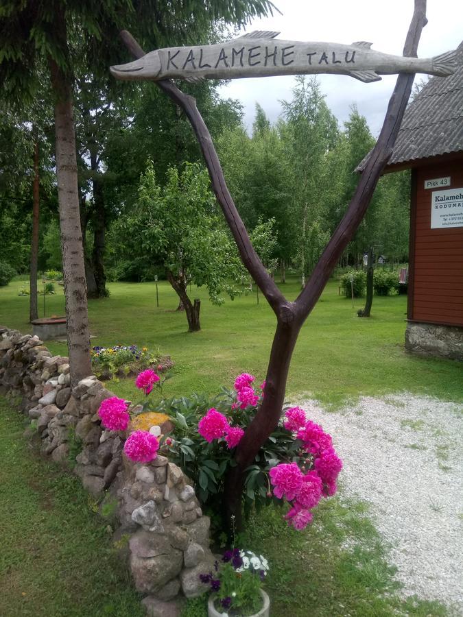 Kalamehe Farmstay Alatskivi Exterior foto